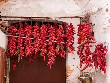 Ninfea Un Giardino In Citta Appartement Bari